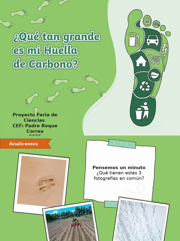 Calculando la Huella de Carbono | PDF | Energía renovable | Reciclaje
