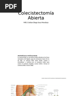 Colocación de Catéter Doble J | PDF | Sistema urinario | Riñón