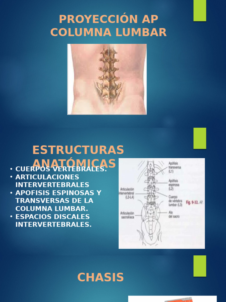 Proyecciones Radiográficas Columna Lumbar | PDF | La columna vertebral ...