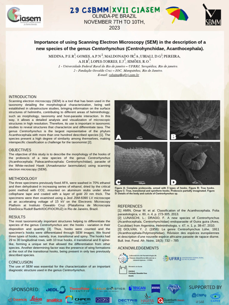 Banner SEM Certrorhynchus | PDF | Microscope | Scanning Electron Microscope