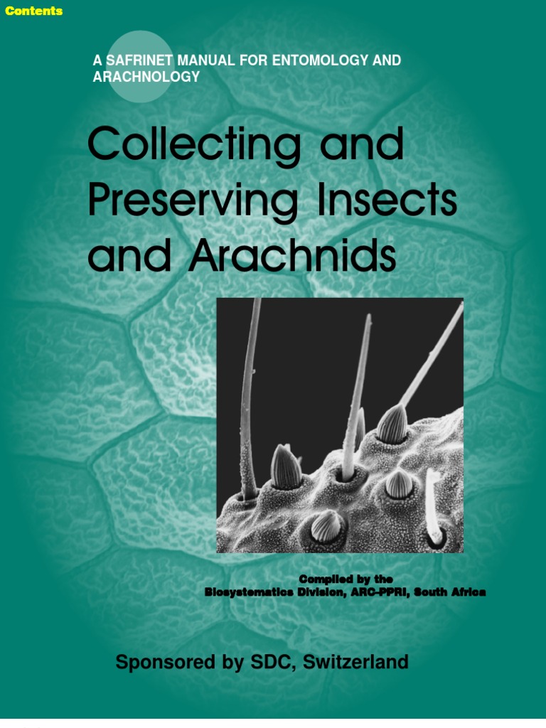 Collecting and Preserving Insects and Arachnids | PDF | Hymenoptera ...
