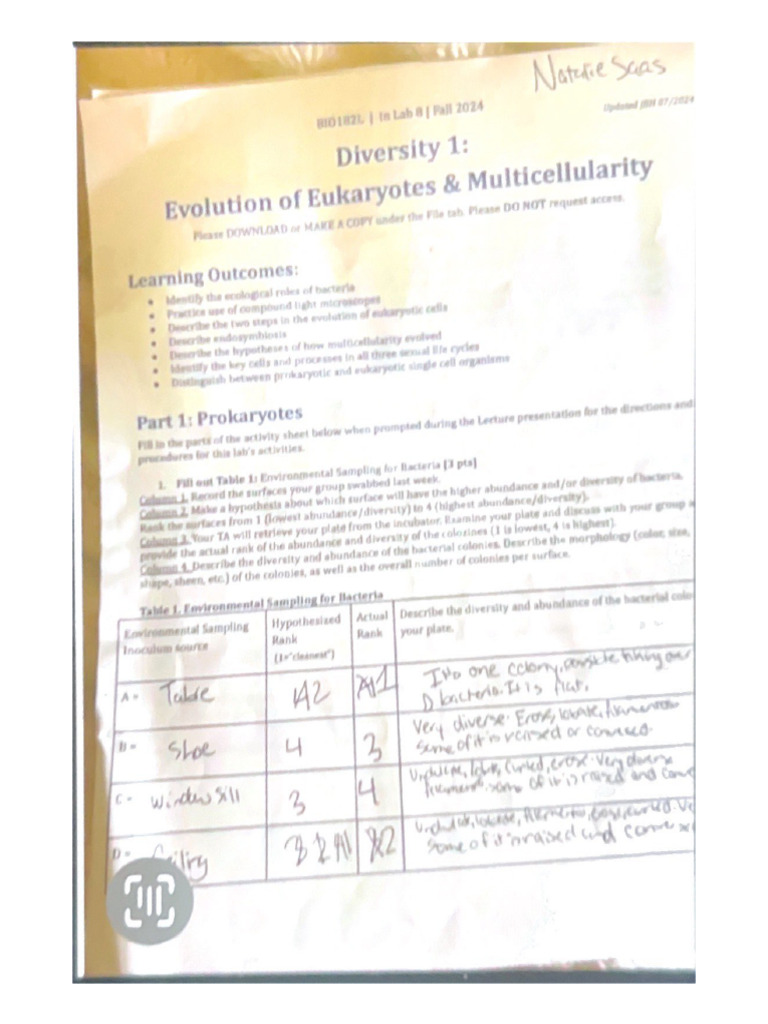 Lab 8 | PDF