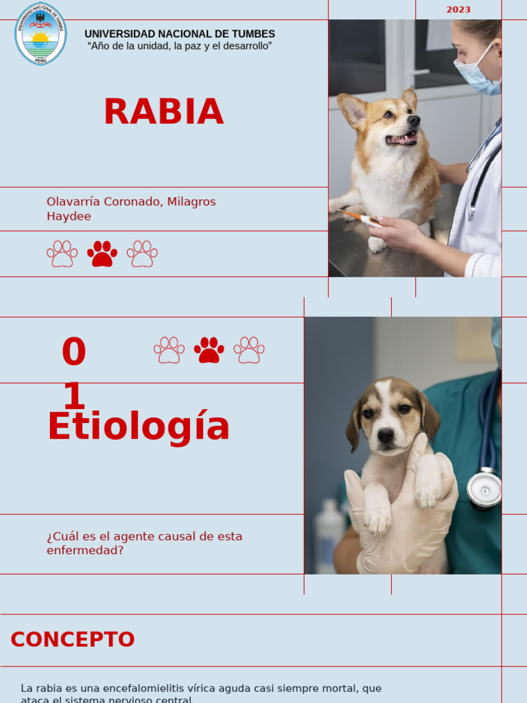 Rabia: Causas, Síntomas y Prevención | PDF | Rabia | Virus