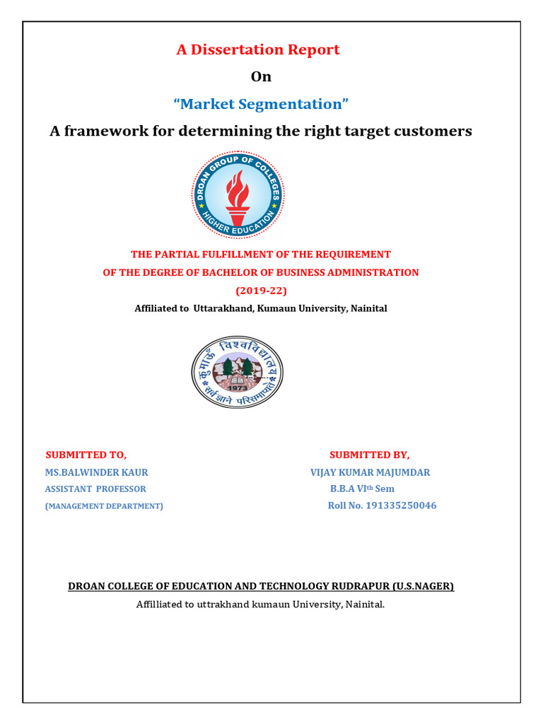 A Dissertation Report (VIJAY | PDF | Market Segmentation | Marketing