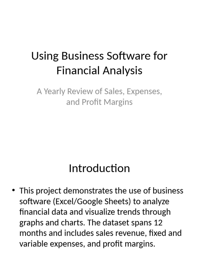 Business Software Analysis Presentation | PDF