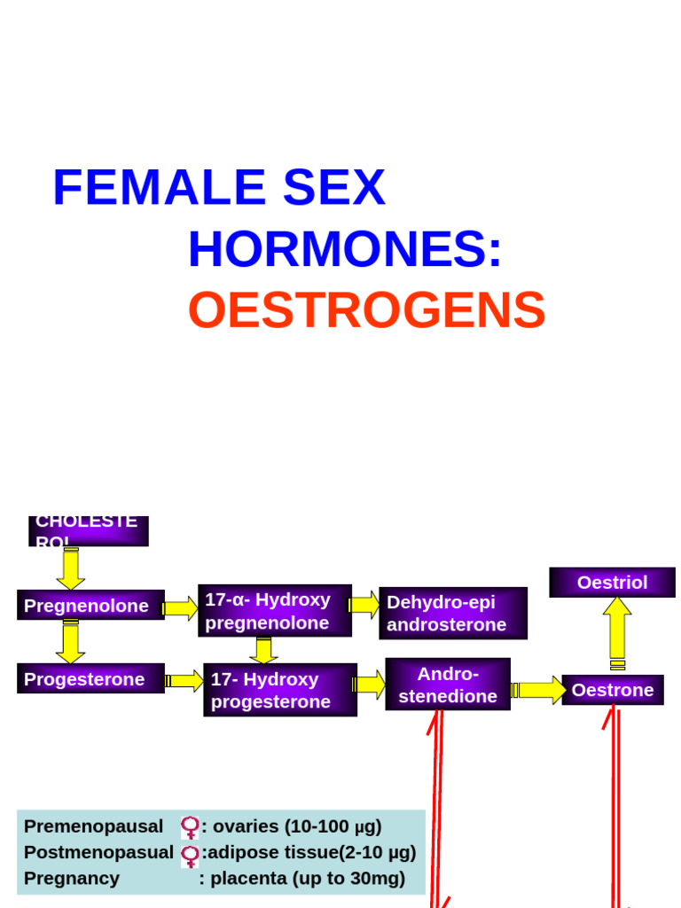 Understanding Female Sex Hormones | PDF | Hormone Replacement Therapy ...