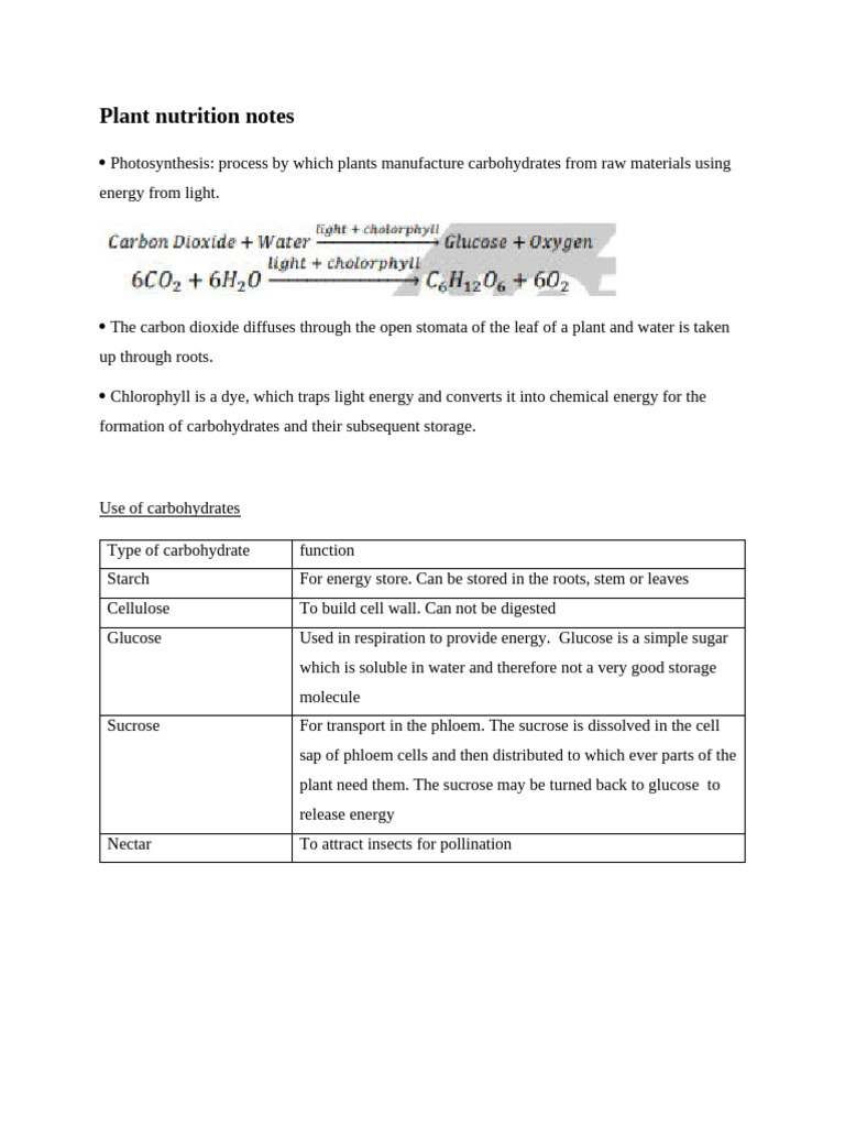 Topic 6 Plant Nutrition | PDF | Stoma | Leaf