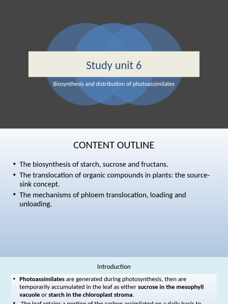 BOT2603 Study Unit 6 - Lesson 12 | PDF | Starch | Leaf