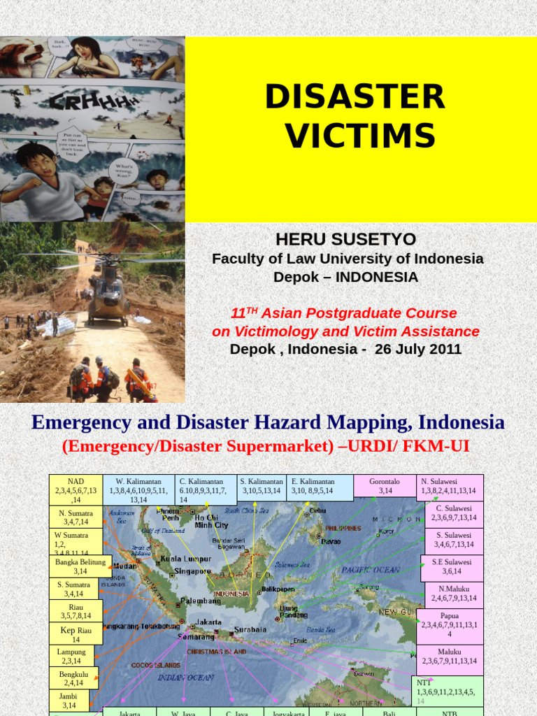 Disaster Victims Heru Susetyo | PDF | Victimology | Crimes