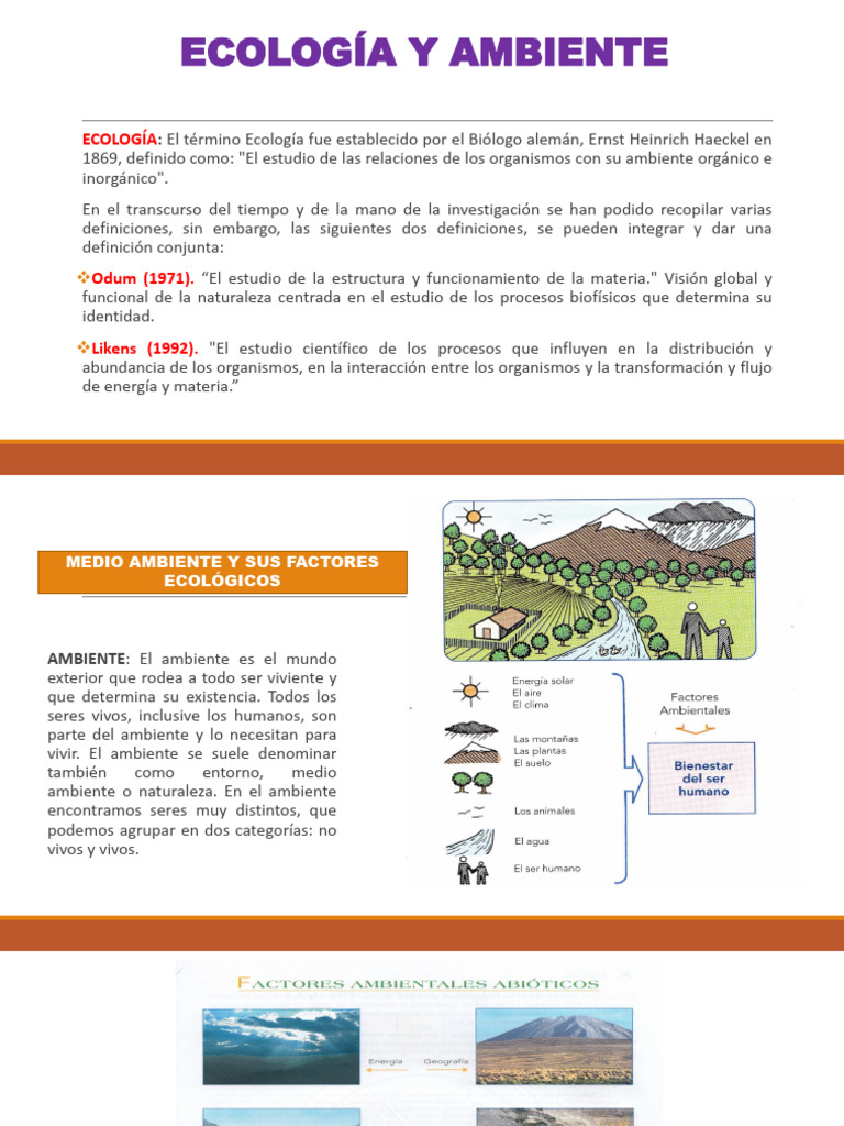 PRIMERA PARTE DE ECOLOGIA 05 JULIO DEL 2021 (3 Archivos) | PDF ...