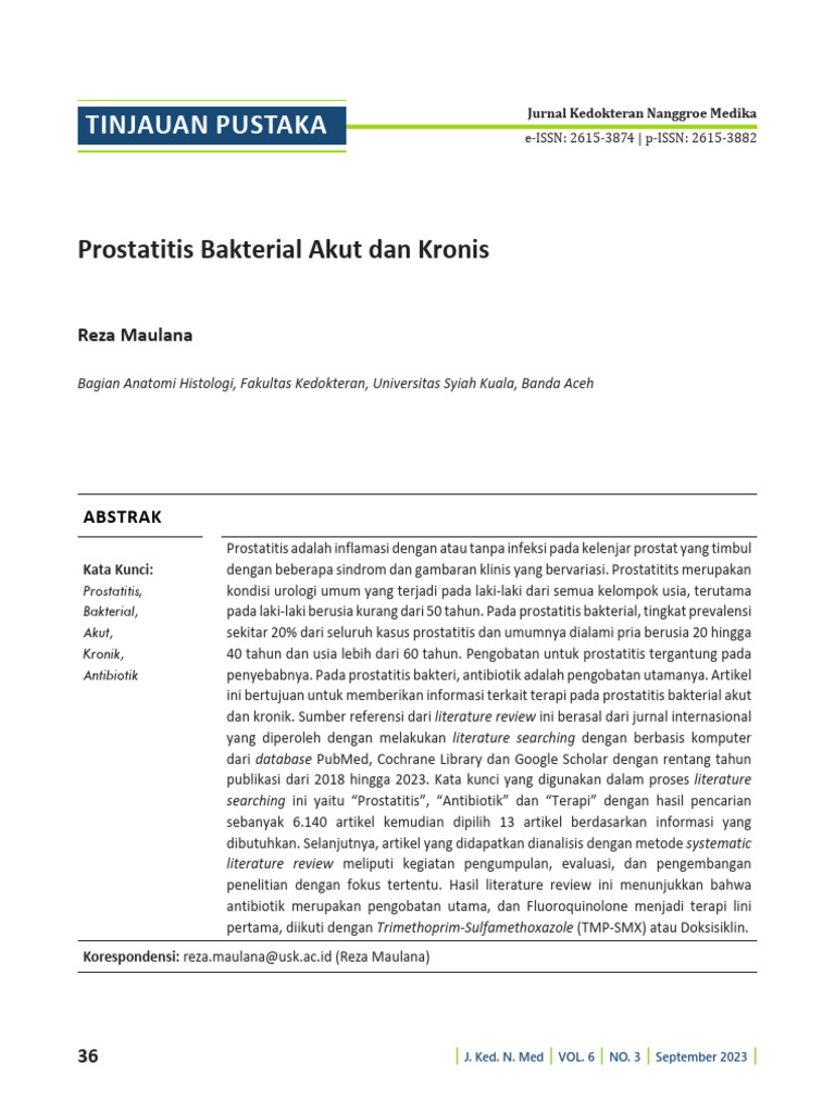 Prostatitis Bakterial Akut Dan Kronis | PDF