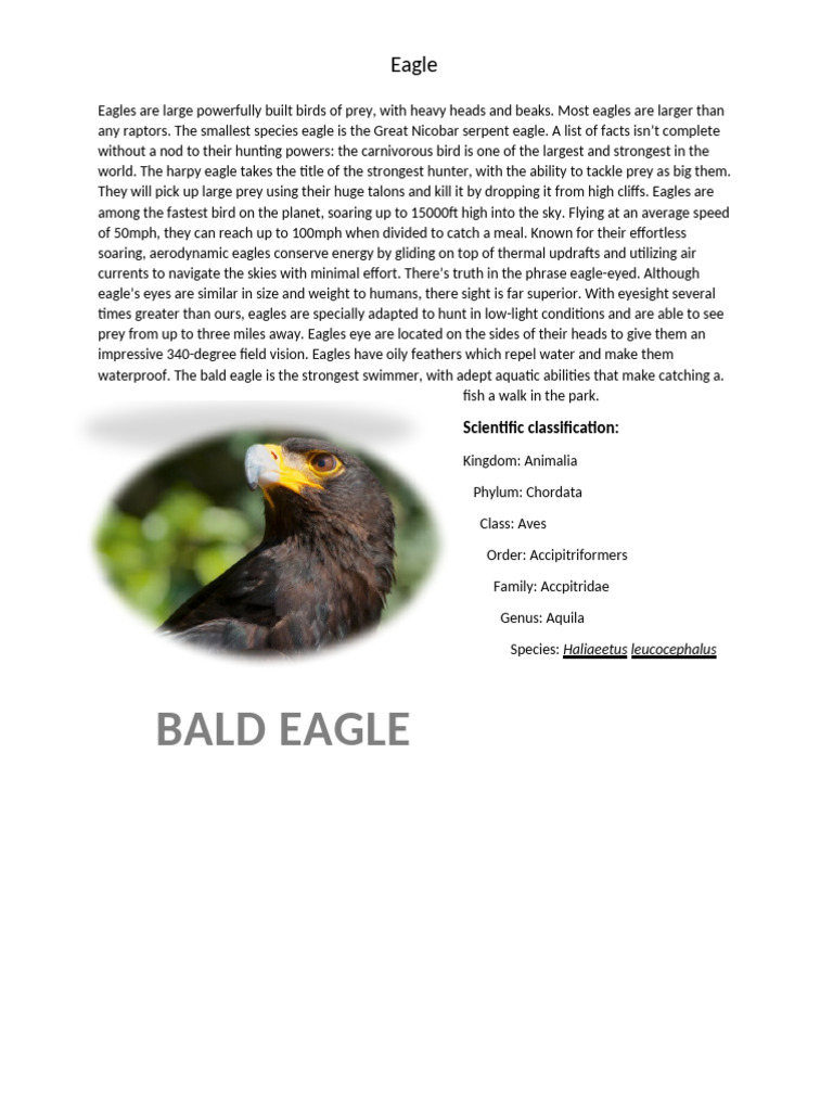 EAGLE | PDF