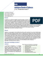 Alteraciones Hematologic As Durante El Embarazo