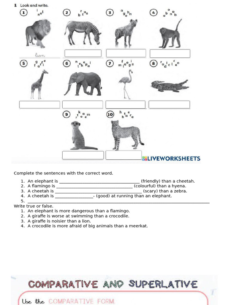 Comparatives in Animal Descriptions | PDF