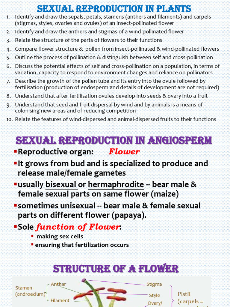 Plant Sexual Reproduction Overview | PDF | Flowers | Seed