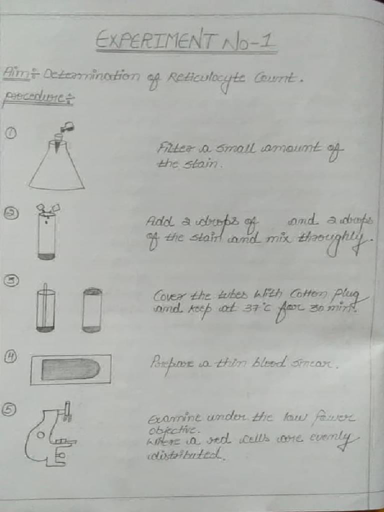 Sem 6 Practical | PDF
