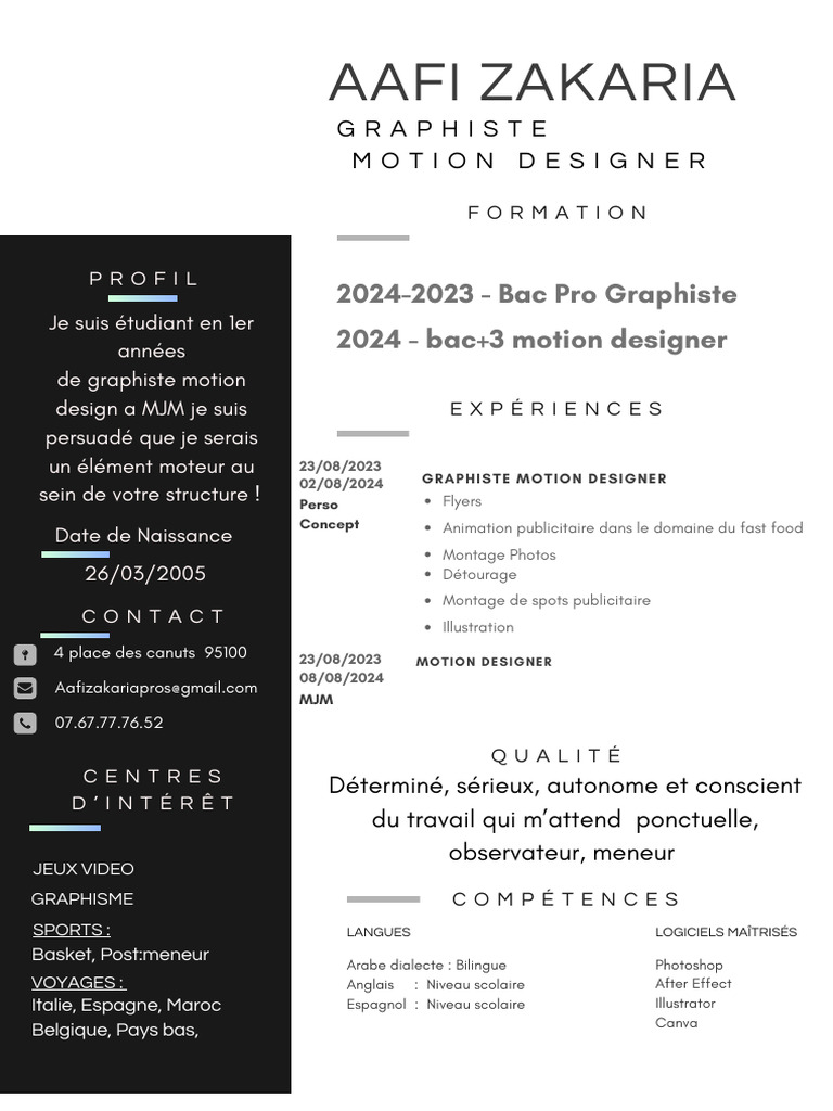 Graphiste Motion Designer Bilingue | PDF