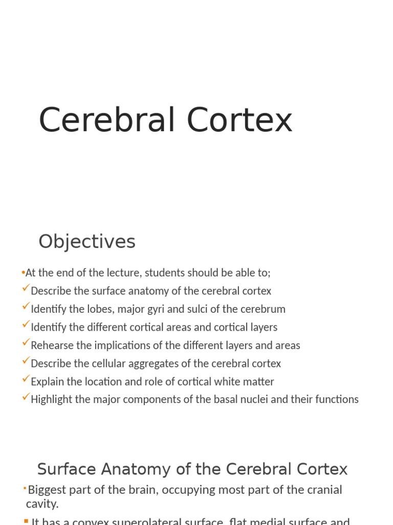 Anatomy and Functions of the Cerebral Cortex | PDF | Cerebral Cortex ...