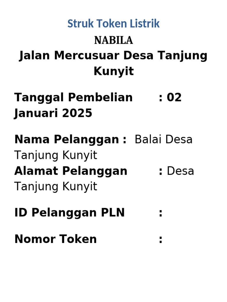 Contoh Struk Pembelian Token Listrik | PDF