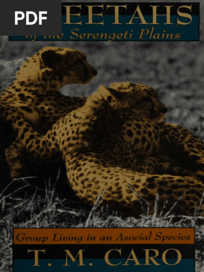 Cheetah Population Dynamics in Serengeti | PDF