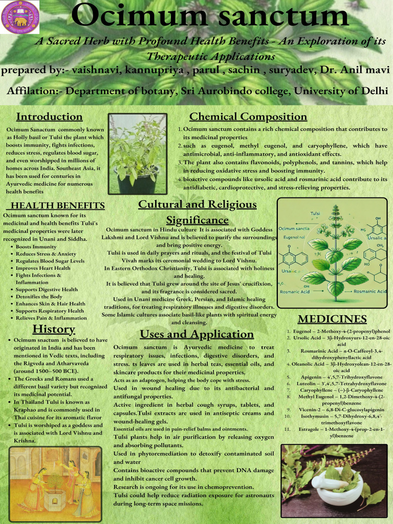 Ocimum | PDF