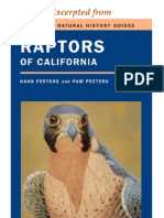 CNHG Raptors of California