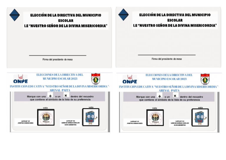 Eleccion de La Directiva | PDF