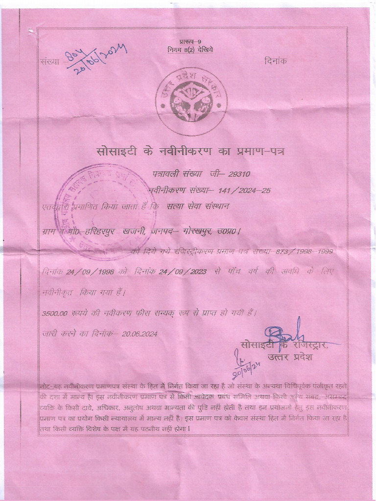 Ngo Paper | PDF