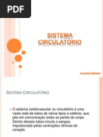 Sistema Circulatório