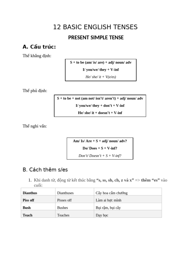 12 Basic Tenses | PDF