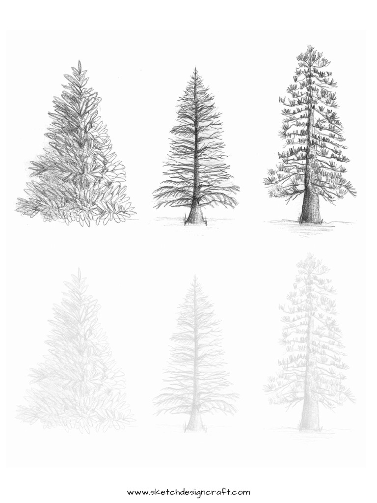 Easy Tree Cutting Drawing Guide | PDF