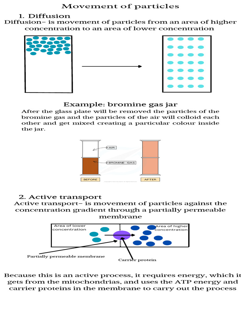 Movement of Particles | PDF