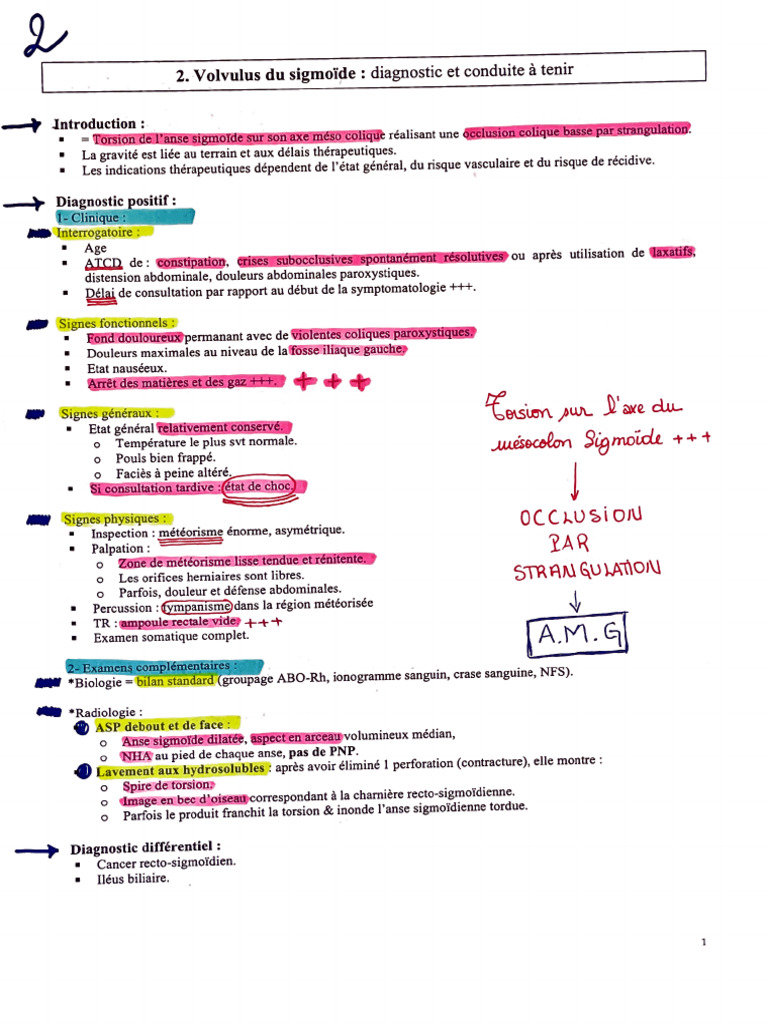 02 - Volvulus Du Sigmoïde | PDF