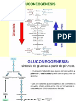 11_gluconeogenesis_UAS