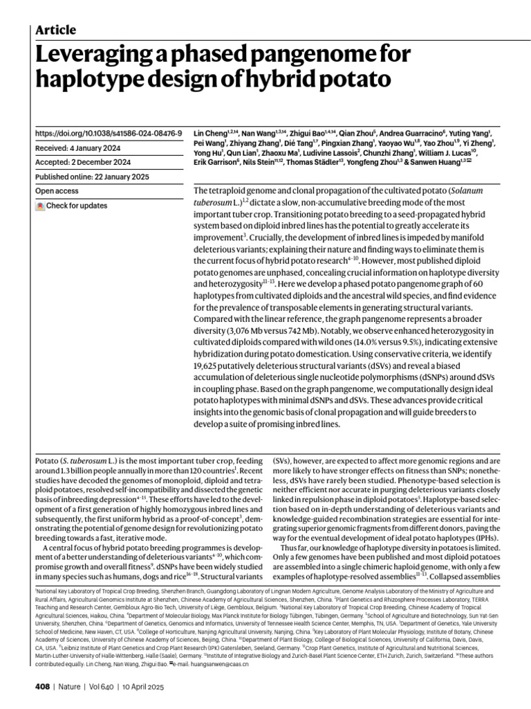 Hybrid Potato Haplotype Design Insights | PDF | Potato | Genome