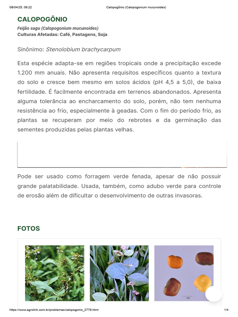 Calopogônio: Características e Uso | PDF | Agricultura | Botânica