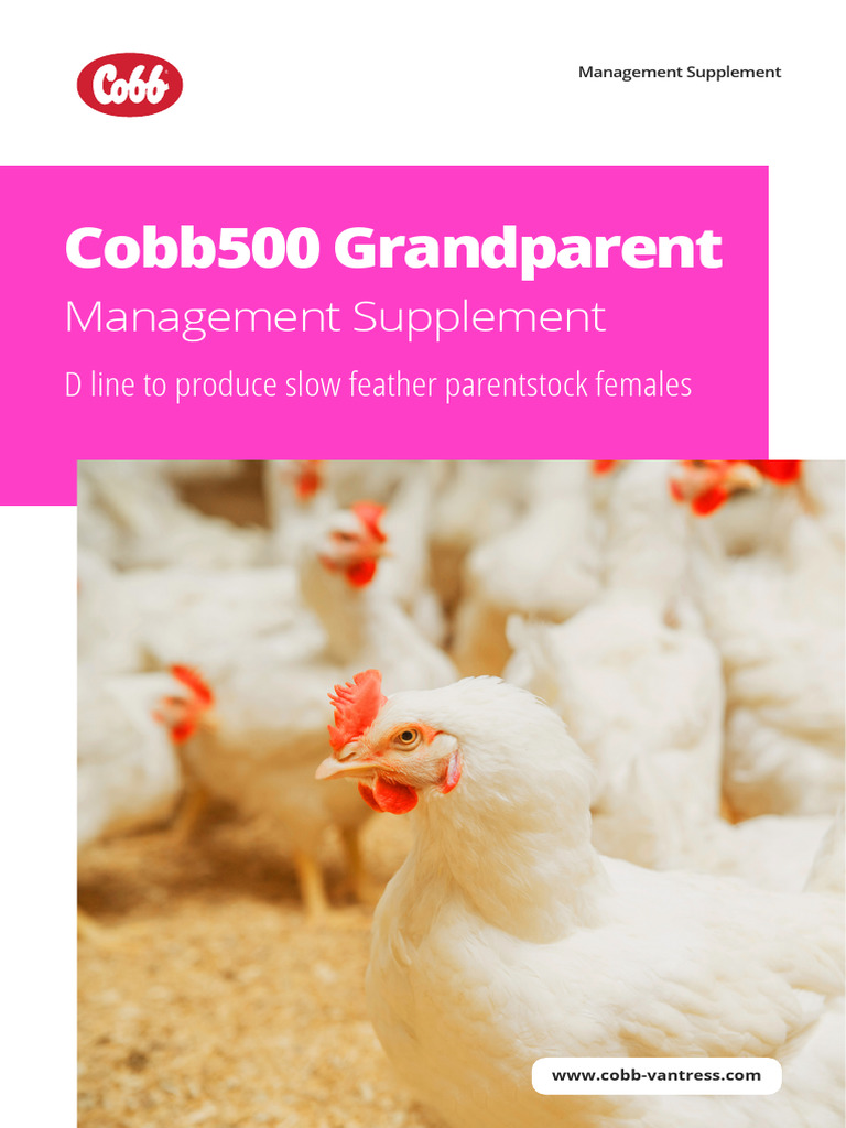 Cobb500 GP Management Supplement Guide | PDF | Nutrients | Amino Acid