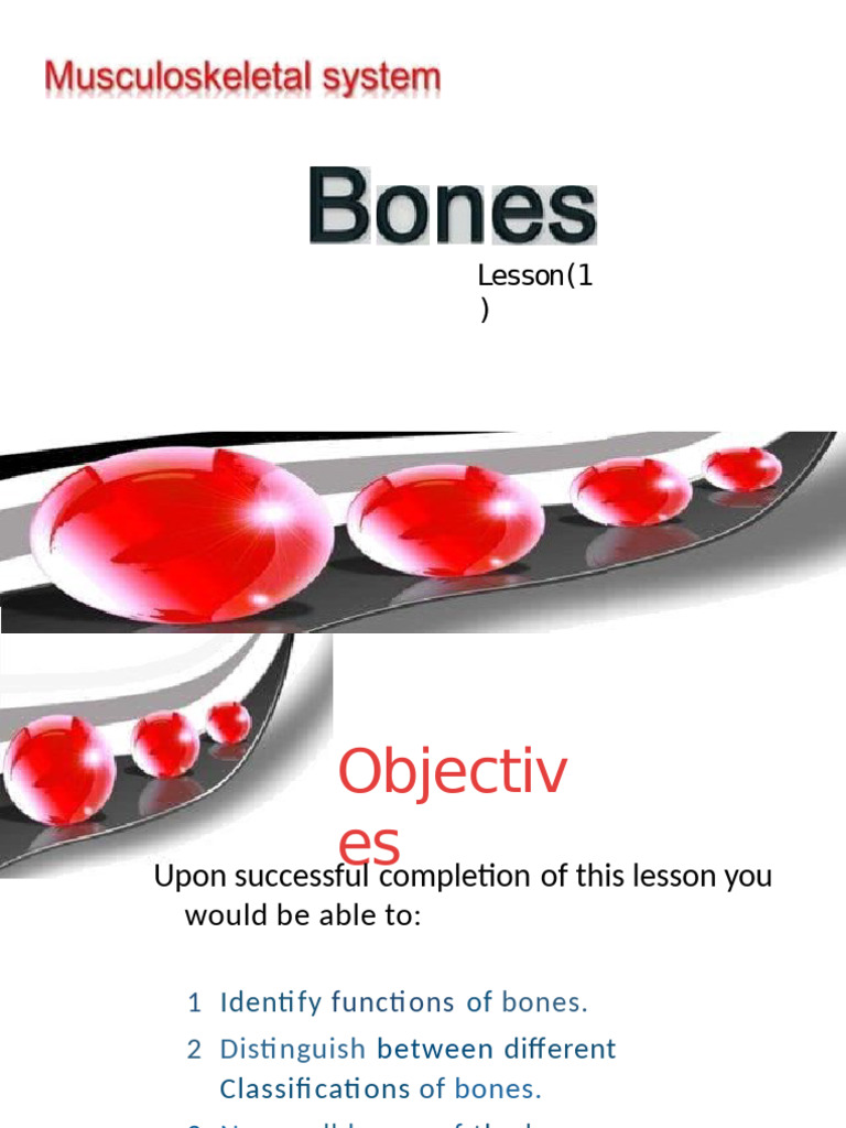 Functions and Classifications of Bones | PDF | Vertebral Column | Bone