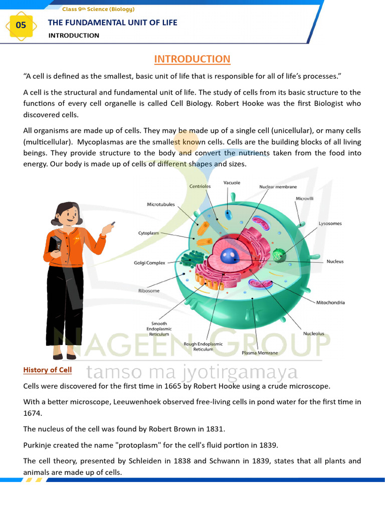 Understanding Cell Structure and Function | PDF | Endoplasmic Reticulum ...