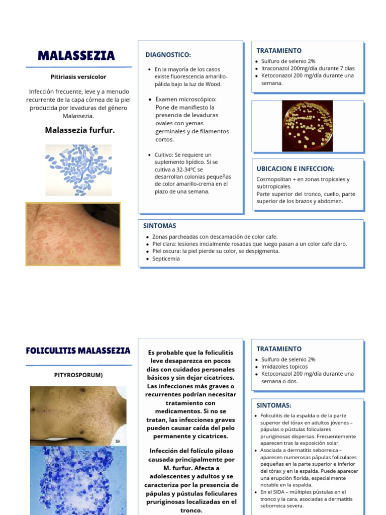 Infecciones Por Malassezia Diagn stico Y Tratamiento PDF 