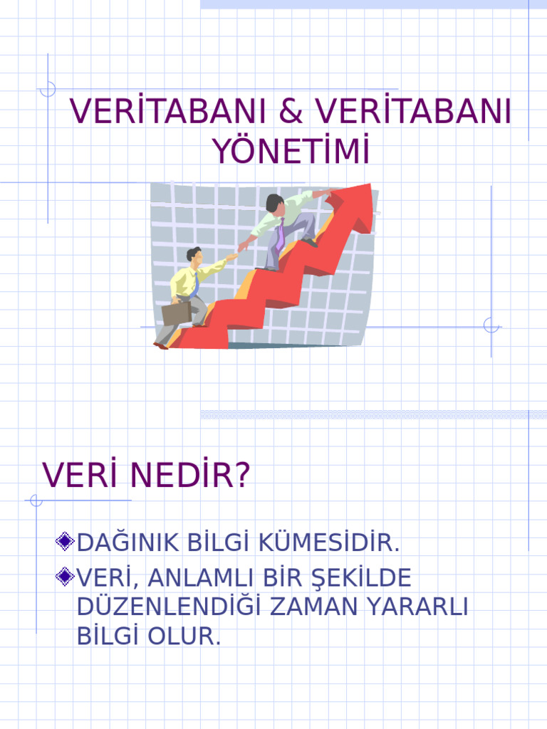 Veritabani Temel Kavramlar | PDF