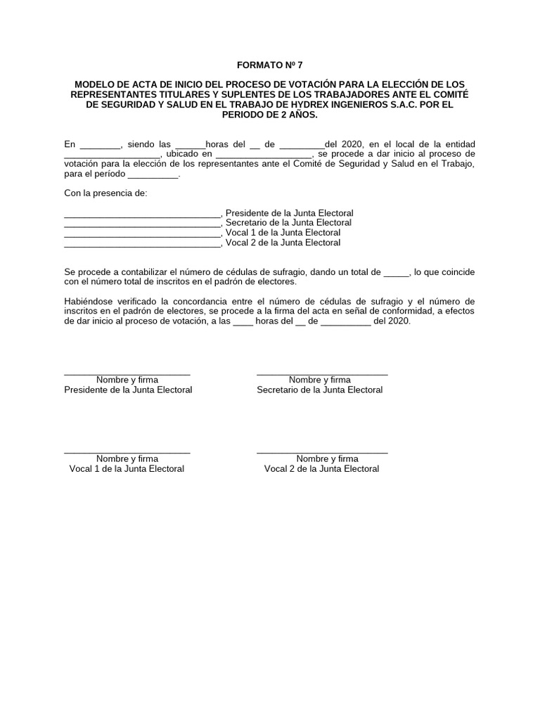 Acta de Inicio de Votación en Hydrex S.A.C. | PDF