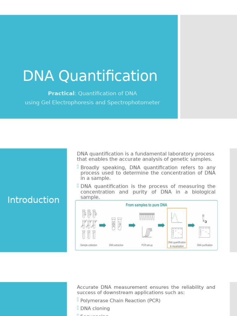 DNA Quantification Methods Explained | PDF | Agarose Gel ...