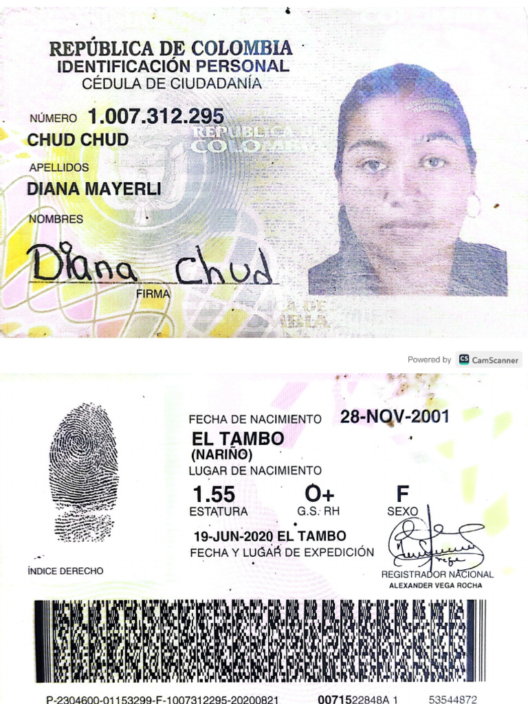 Diana Mayerli Chud Chud | PDF