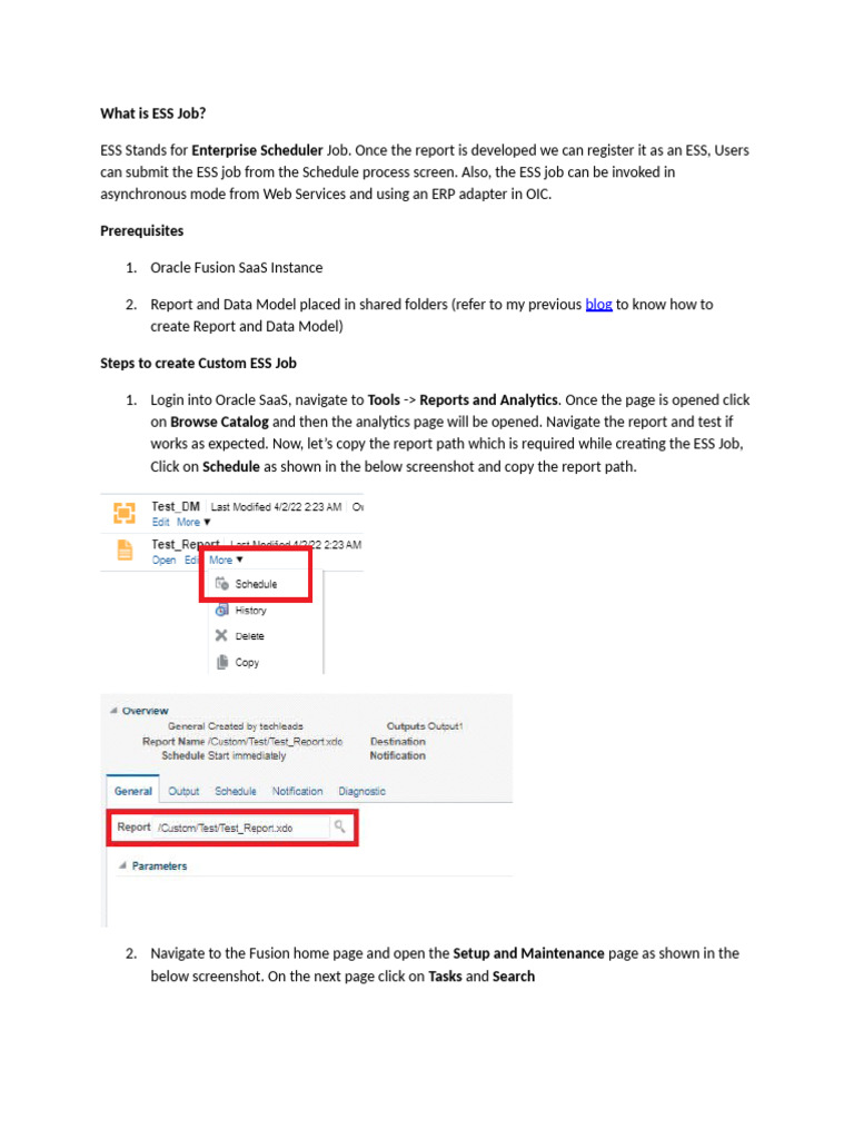 Creating Custom ESS Jobs in Oracle Fusion | PDF