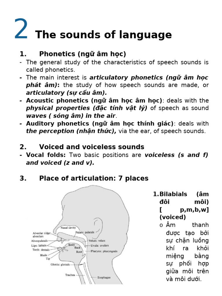 2 The Sounds of Language | PDF