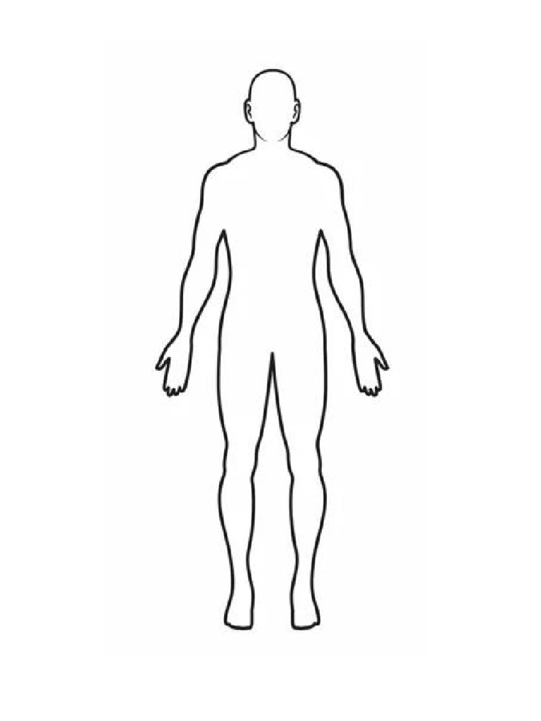 Human Body | PDF