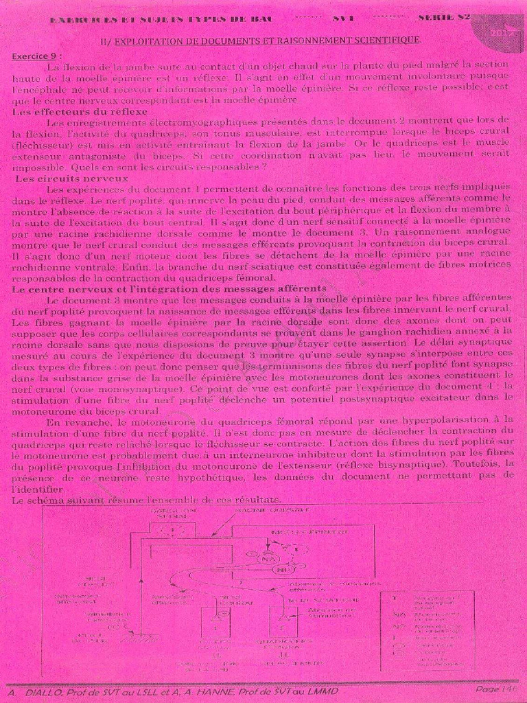 146 | PDF