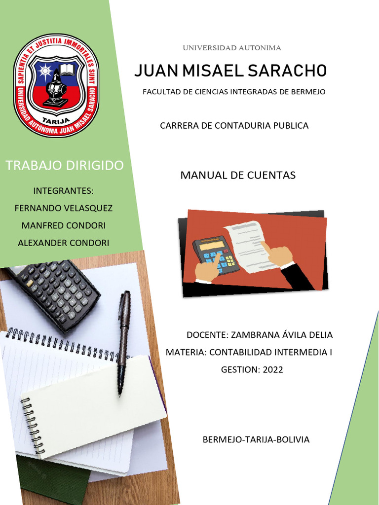 Manual de Cuentas Contables | PDF | Contabilidad | Bancos