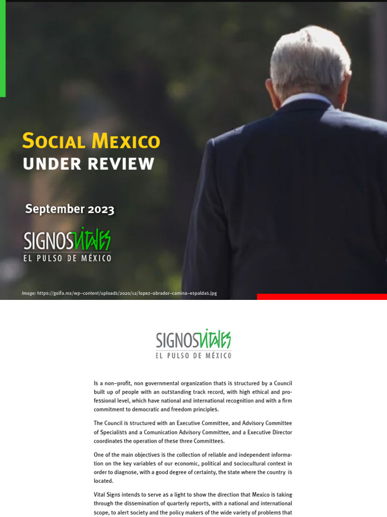 Social Mexico: Key Issues and Insights | PDF | Gini Coefficient | Poverty